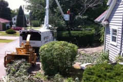 Arbor-Tech_Tree_Service_pic07