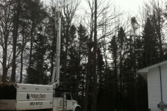 Arbor-Tech_Tree_Service_pic12